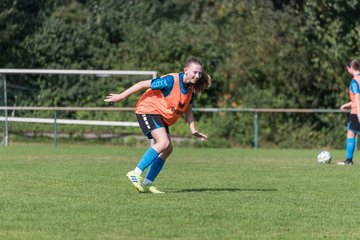 Bild 2 - wBJ VfL Pinneberg - Hamburger SV 2 : Ergebnis: 1:3